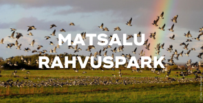 Matsalu rahvuspark